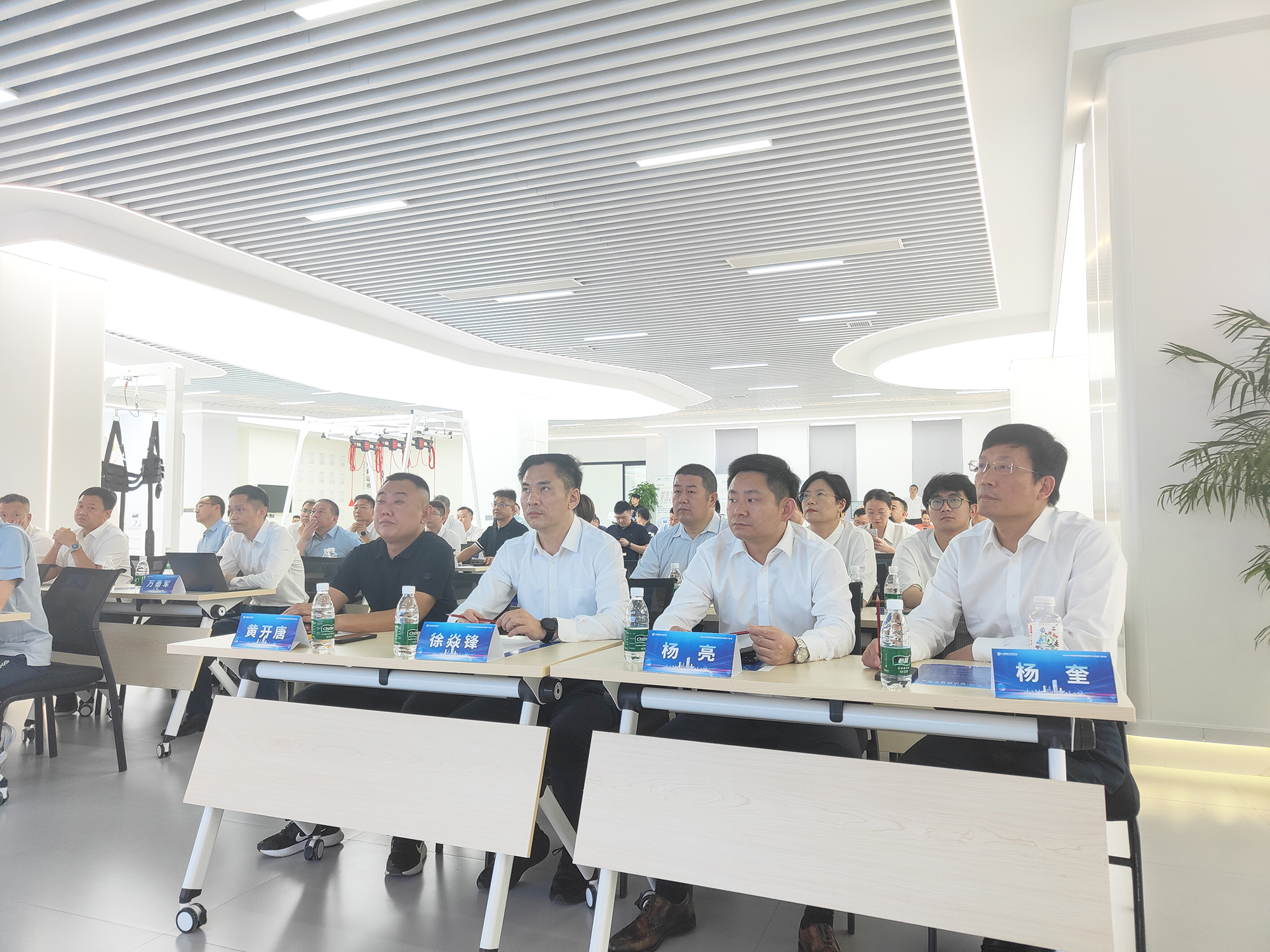 IMG20250801141941.jpg IMG20250801141941.jpg