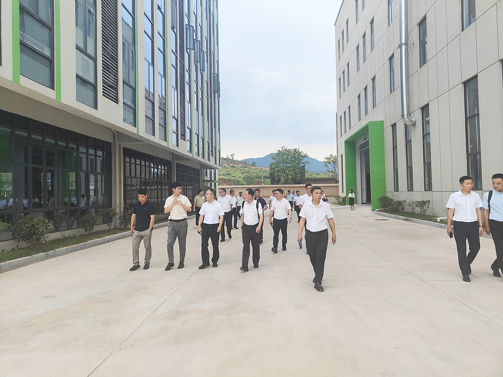 IMG20250801181220.jpg IMG20250801181220.jpg